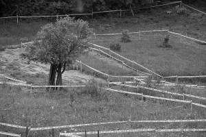 campo-minato