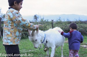 capra-bambini-kosovo