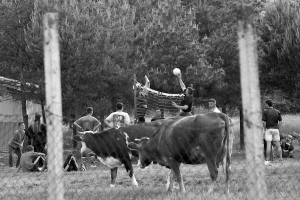 svago-kosovo-dopoguerra
